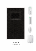 Canon à son anti-intrusion Qualiforce 129 Db MAITRE modèle Blast fixe C1 - AJAX READY